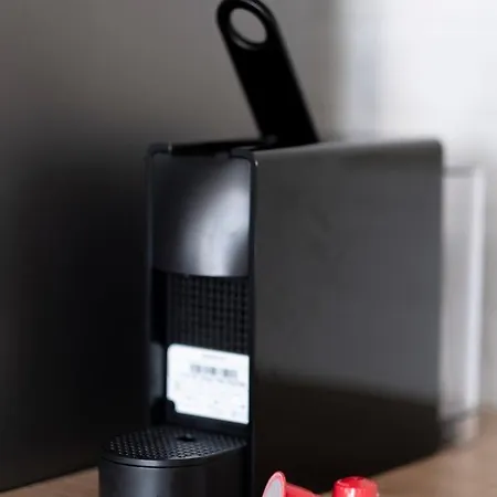 Amazing Snow Друскининкай