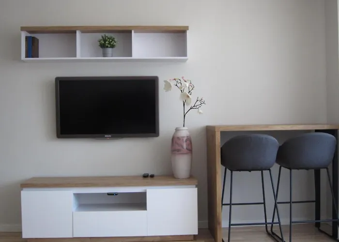 Amazing Snow Apartament Druskieniki