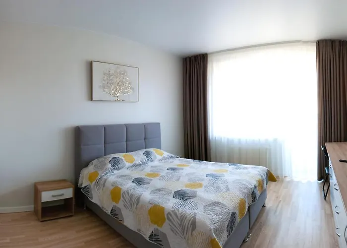 Amazing Snow * Druskieniki