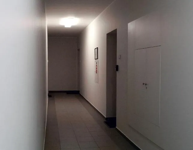 Amazing Snow Apartament Druskieniki